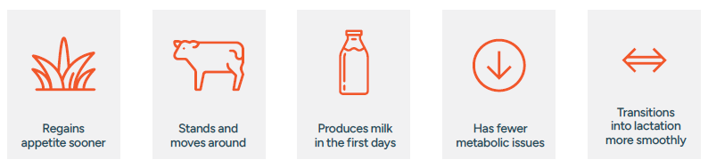 Rumi-Post Calf Whitepaper_Section 10