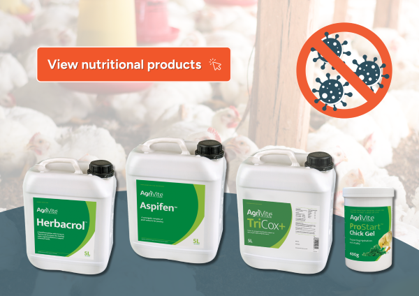 Gut Health in Winter | Section 3