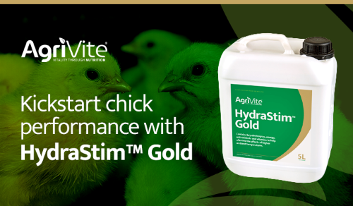 Kickstart chick performance with Agrivite HydraStim™ Gold