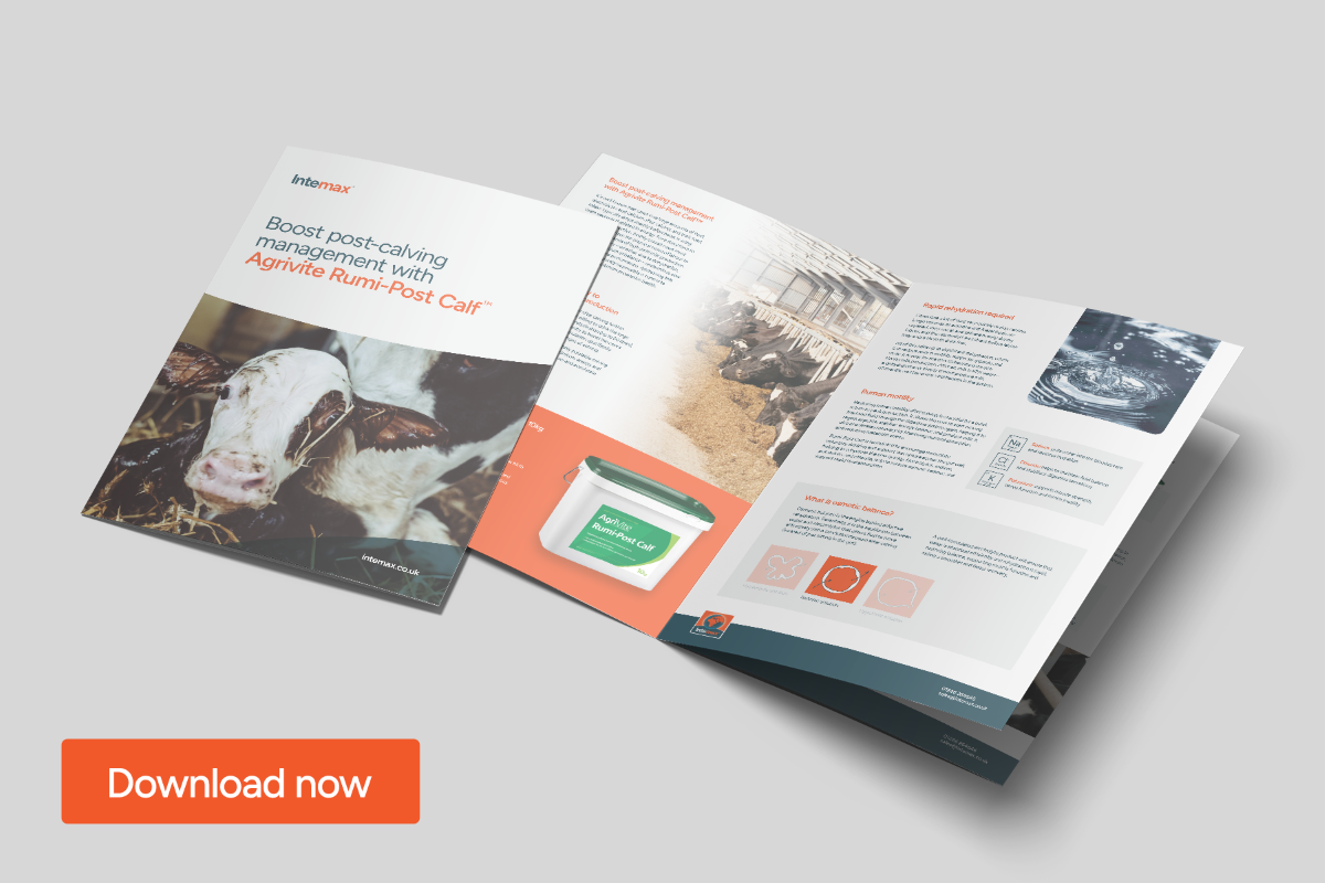 Boost post-calving management with Agrivite Rumi-Post Calf