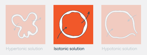 Rumi-Post Calf Whitepaper_Section 5