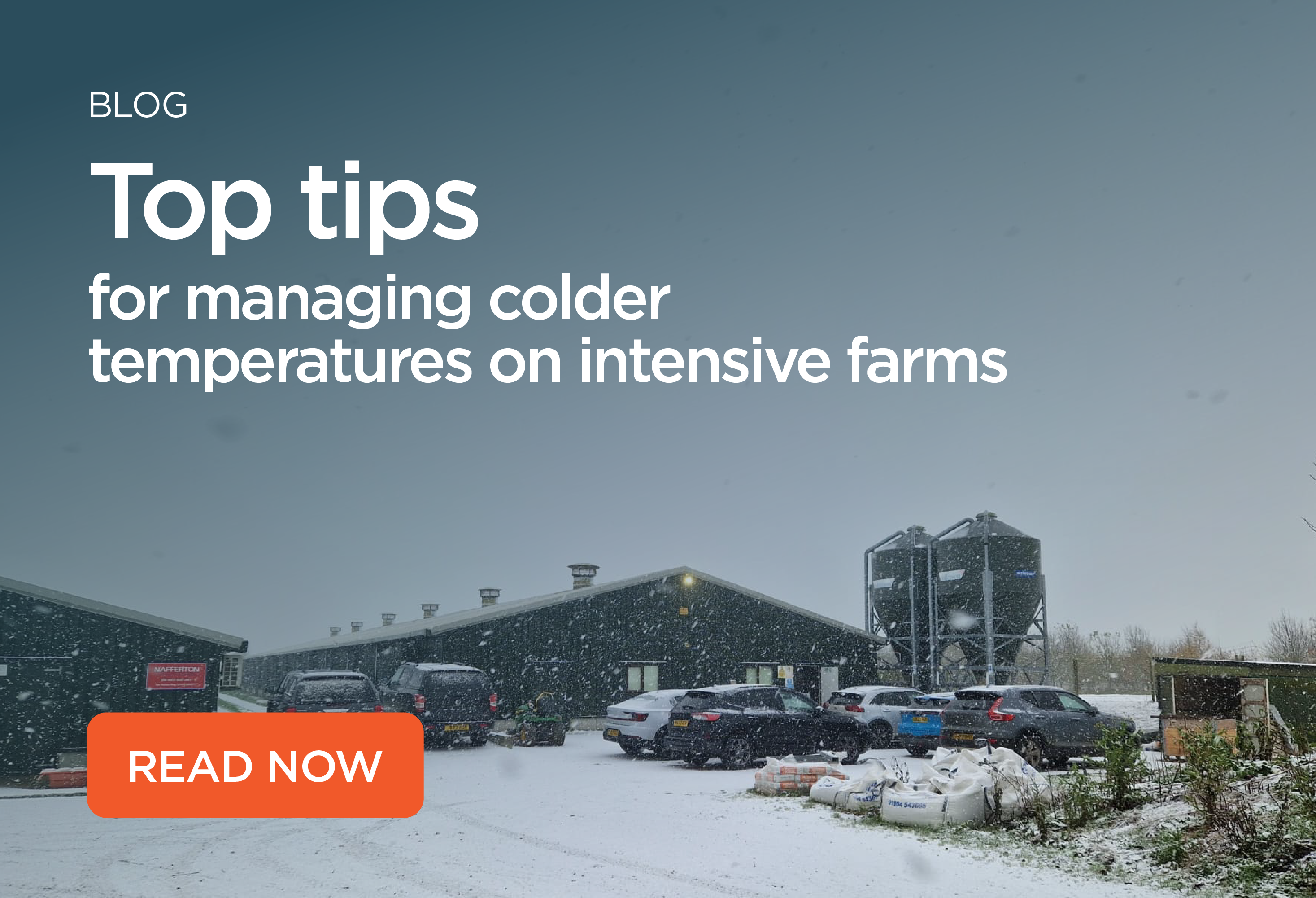 Top tips for managing colder temperatures on intensive farms