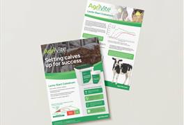 Setting calves up for success: High-quality colostrum for an optimal start