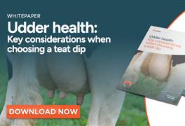 Key considerations when choosing a teat dip