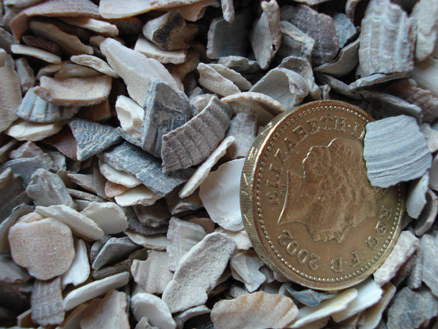 Oystershell Grit, Hen Size (4-7mm) 1000Kg Bulk Bag