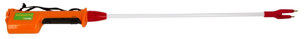 AniShock PRO 2000, Orange