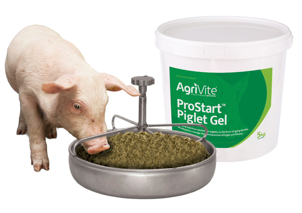 Agrivite ProStart™ Piglet Gel, 5Kg