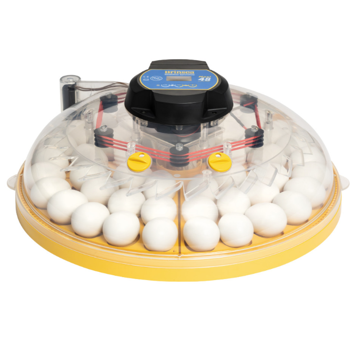 Brinsea Maxi 48 Advance Incubator (48 Hen eggs)