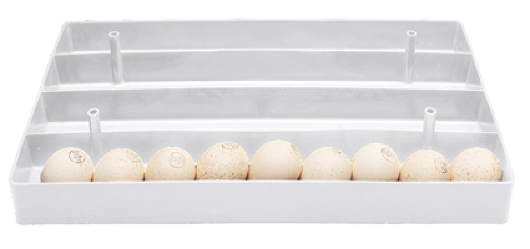 Chicktec Egg Setter Tray - 28 Goose Egg