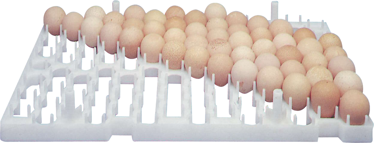 Chicktec Egg Setter Tray - 85 Guinea Fowl Egg