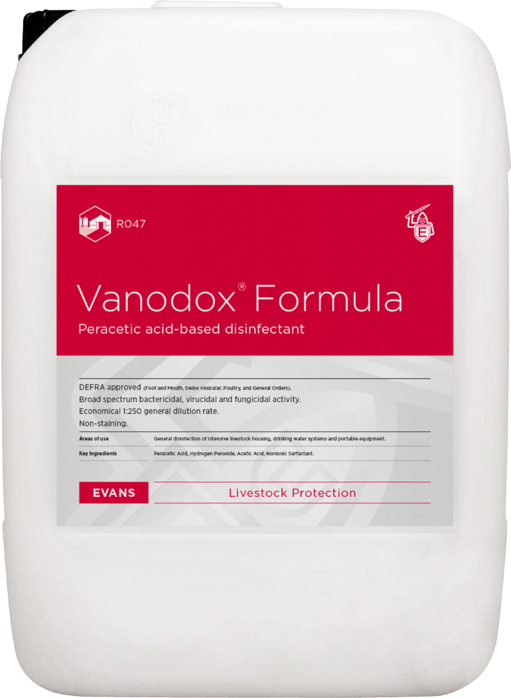 Vanodox, 10L